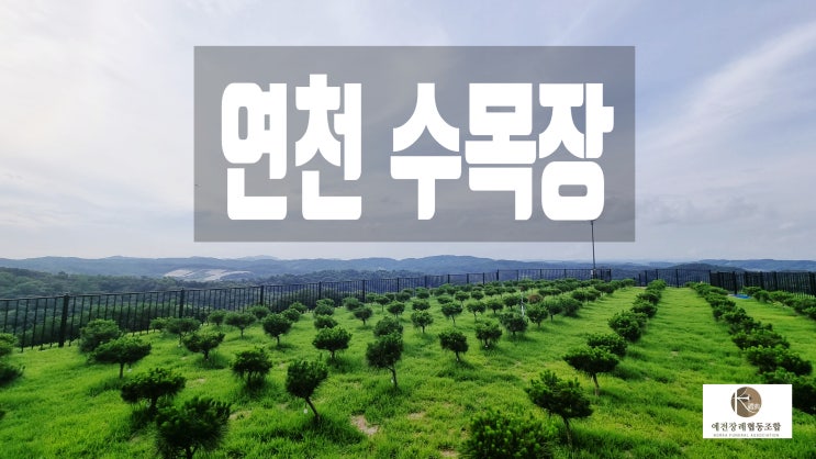  경기도 연천 수목장 분양가격 절차 안내