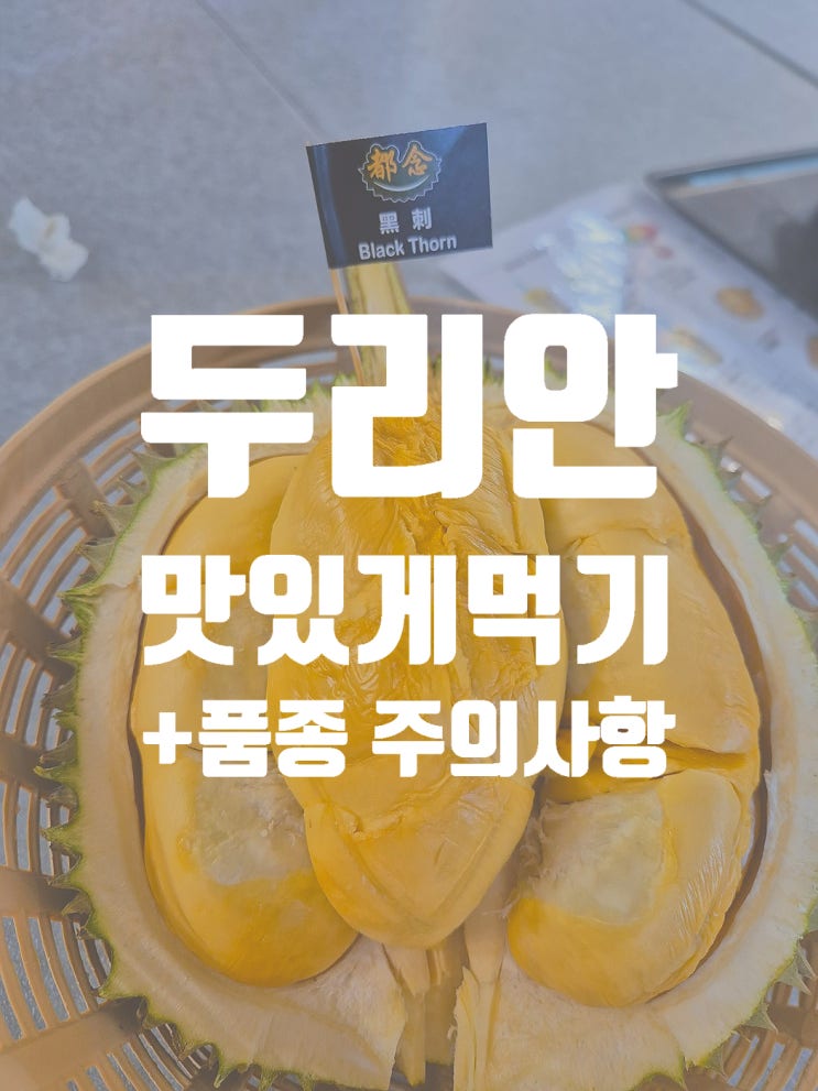  말레이시아 두리안의 모든 것 ( +주의사항, 품종, 후기, 비교)