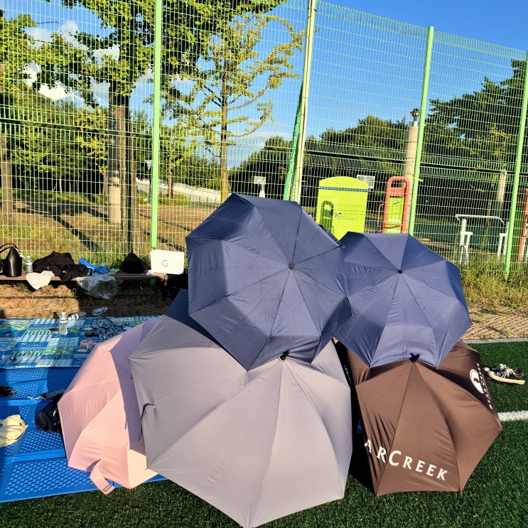  [일기] 24.09.14. 턱받침분실, 비올라연습, 명절대잔치, 쿠팡잇츠 쿠폰 멕시칸치킨, 먹눕