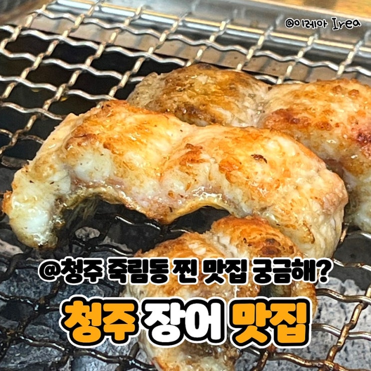  청주 장어 맛집 섬진강민물장어 (ft.청주 죽림동 맛집)