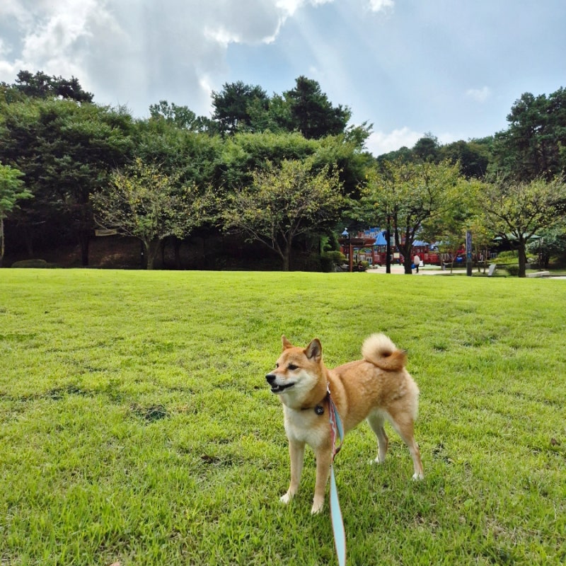 사진 10