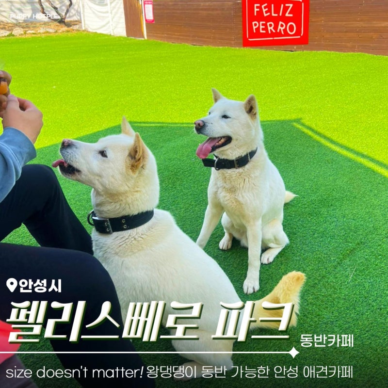 펠리스뻬로 파크