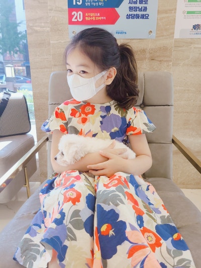 사진 3
