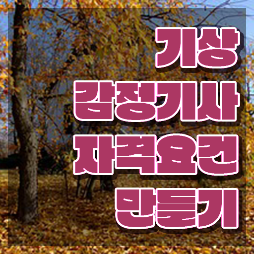  기상감정기사 시험 조건 기상감정기사 자격요건 온라인으로 쉽고 빠르게 끝낸 팁