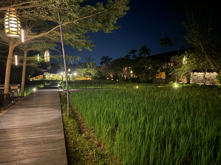  발리 우붓에서 제일 핫플 식당 피손우붓 Pison Ubud
