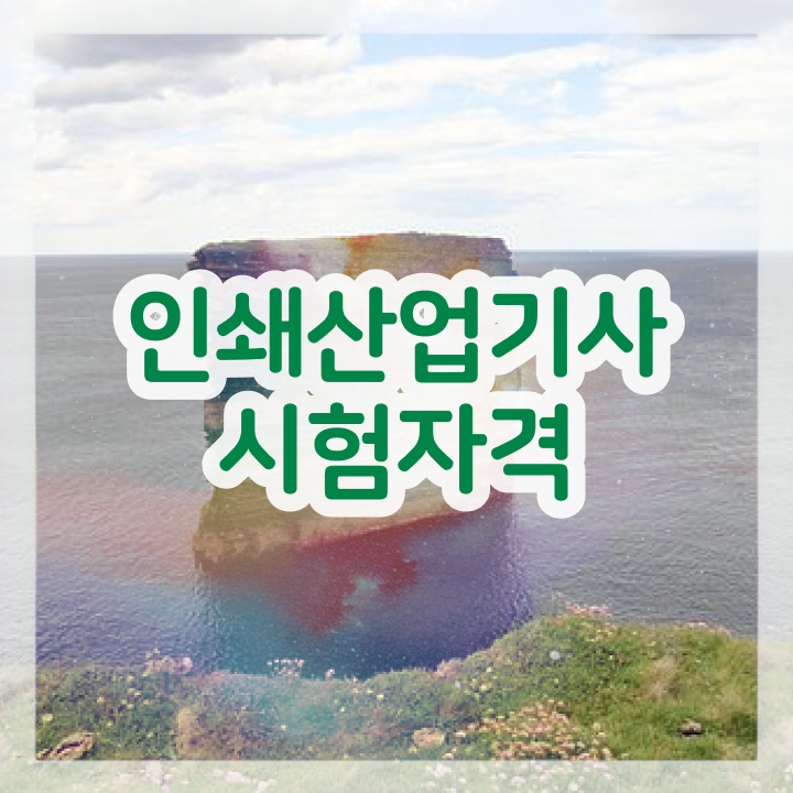  인쇄산업기사 시험응시조건 집에서 온라인으로 간편하게 준비한 비법