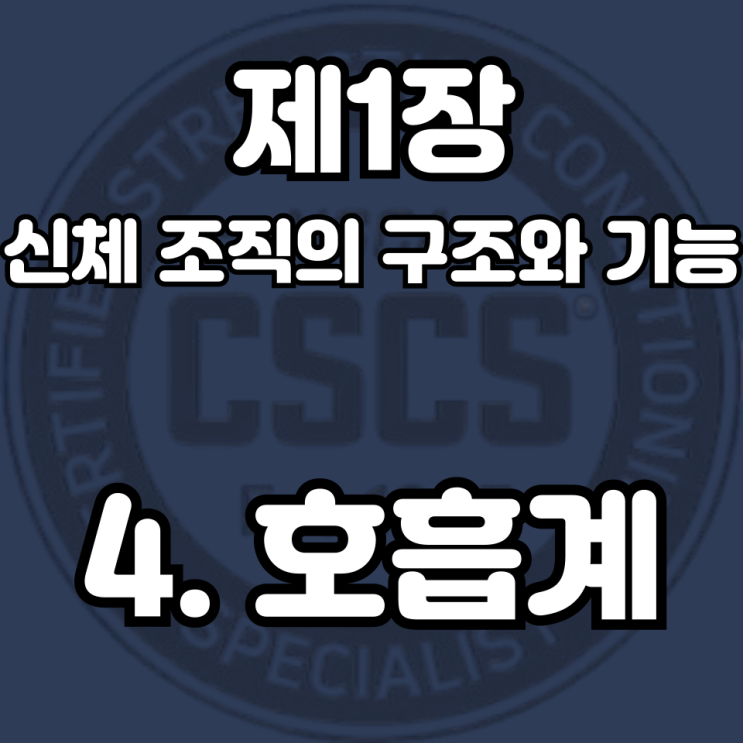  1-4 호흡계 : 가스교환과 호흡역학