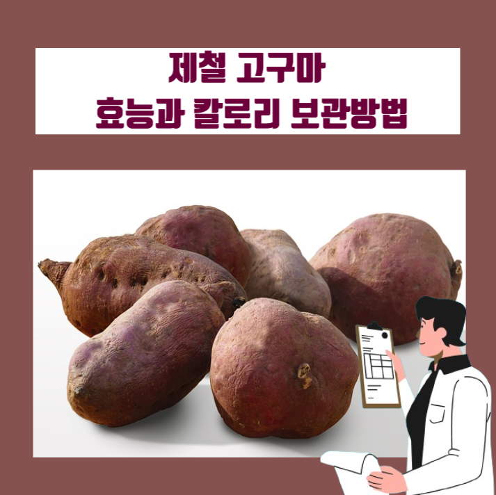  제철 고구마 효능, 칼로리와 보관하는 방법