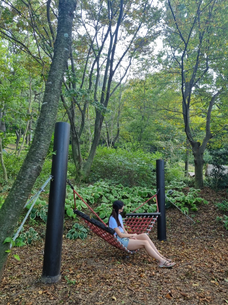  영광 가볼만한곳 영광 물무산 행복숲 숲속놀이터 유아숲체험원