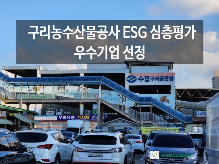  구리농수산물도매시장 운영관리하는 구리농수산물공사 ESG 심층평가 우수기업 선정