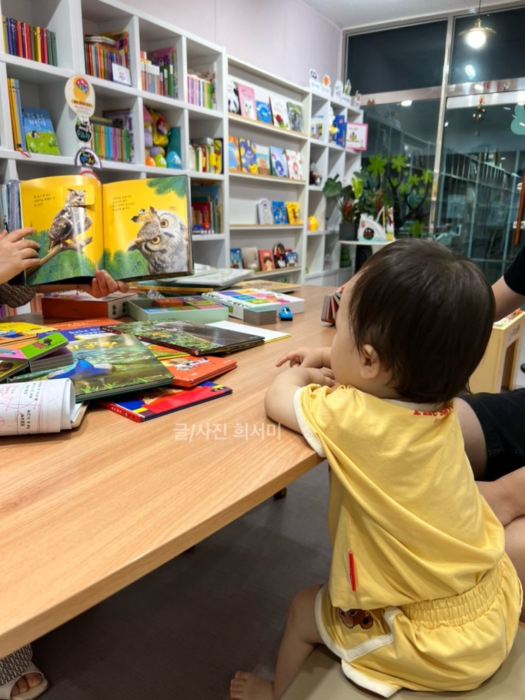  수원 광교 용인 영통어린이서점 책육아 방법 배워오기 그레이트북스 아기전집 구매처
