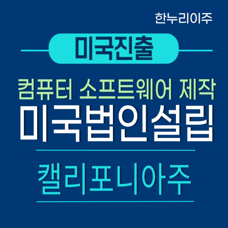  컴퓨터 소프트웨어 제작회사 캘리포니아주 미국법인설립