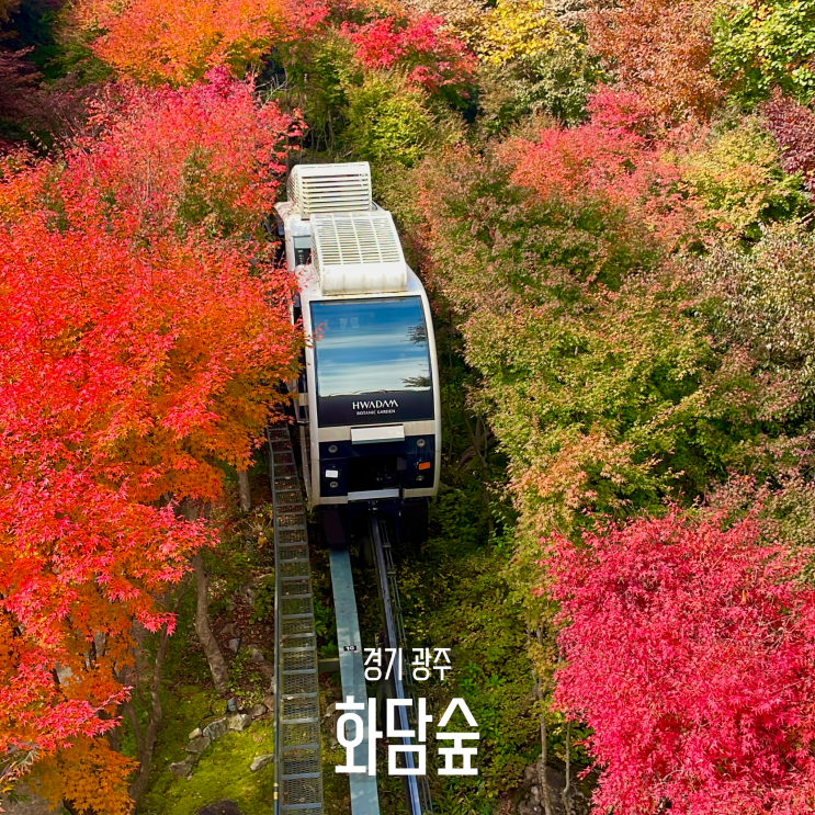  경기 용인 화담숲 가을성수기 예약 10월말 단풍시기 도보