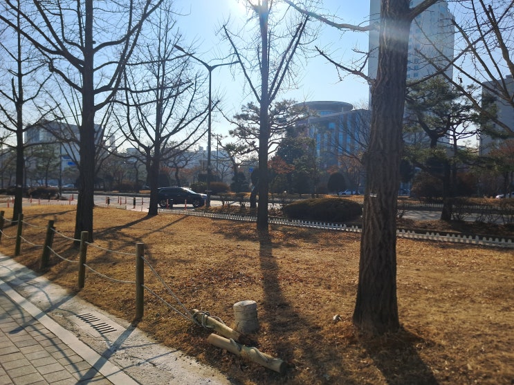  포항 손해사정사의 유쾌, 상쾌, 통쾌한 상담