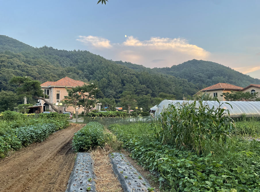 파주나폴리펜션 사진 2