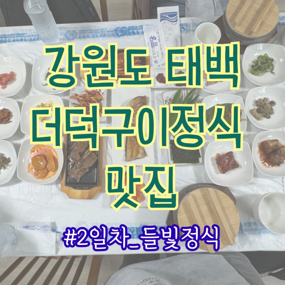 들빛 사진