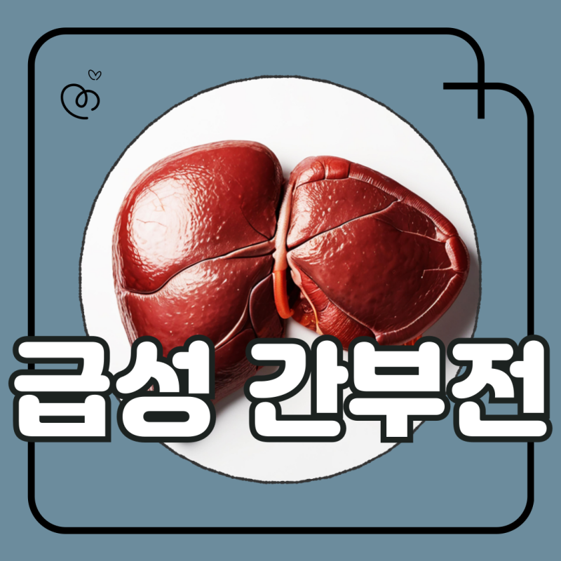 급성 간부전 원인 증상 치료 정리