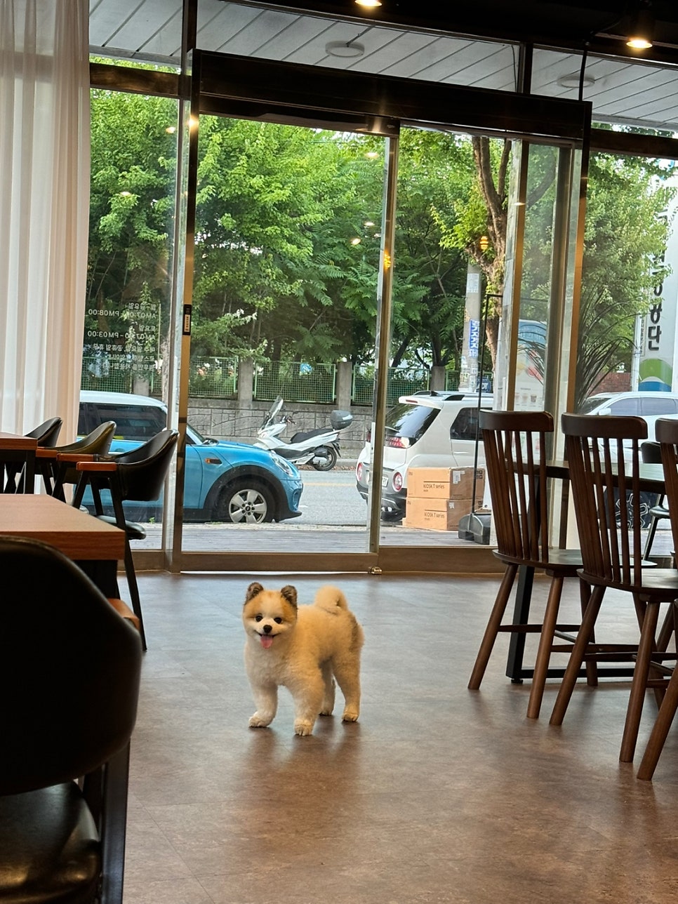 판야커피 안성공단점 사진 2
