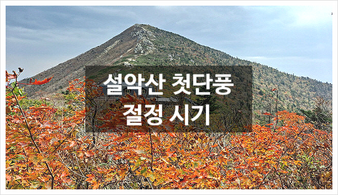  설악산 첫단풍 절정 시기 전국 단풍시즌 명소 가볼만한곳 화담숲