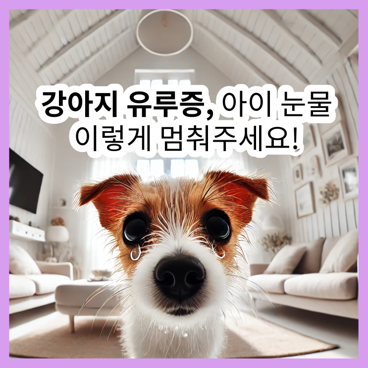  눈물 그만! 강아지 유루증 증상부터 완벽한 치료법까지