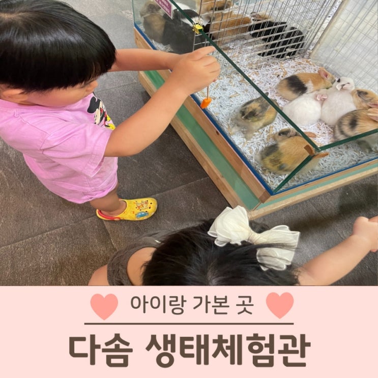  대구 실내동물원 다솜 생태체험관 NC경산점 동물 먹이주기