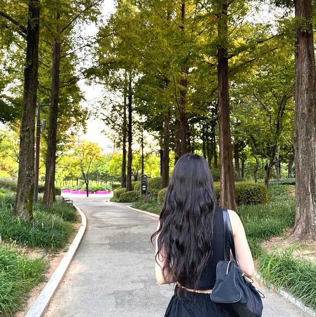  2024 분당 파크콘서트 성남 라인업 정보 및 일정 안내