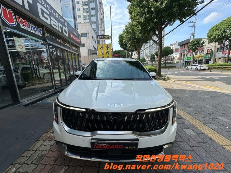  카니발 신차 패키지 시공 후기. 썬팅, 블랙박스 설치!