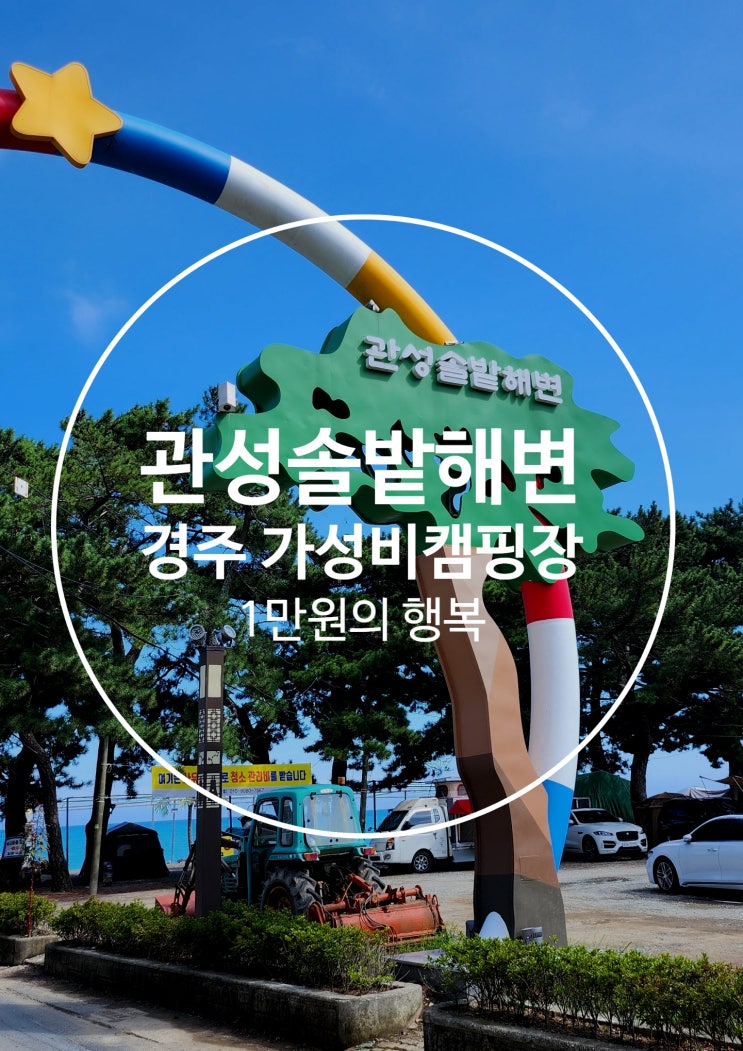  관성솔밭해변 울산 근교 오션뷰 캠핑장 차박 오토캠핑 백패킹 애견동반가능