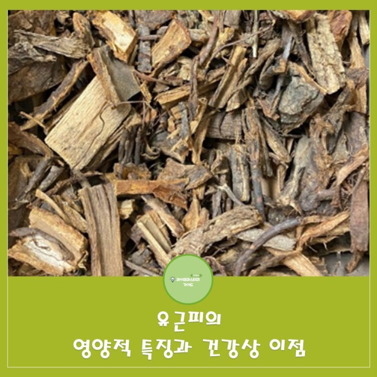  유근피 효능 : 알레르기성 비염과 축농증 개선,이뇨작용으로 노폐물 배출 효과
