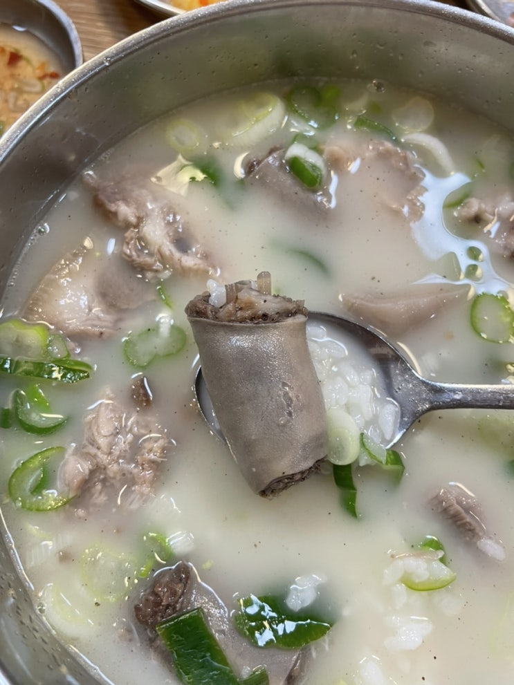  [용인맛집] 용인 백암 순대국밥 맛집 ‘제일식당’ 솔직후기