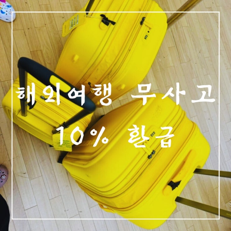  ️ 해외여행 꿀팁 | 무사고 시 10% 환급해주는 해외여행보험 정보