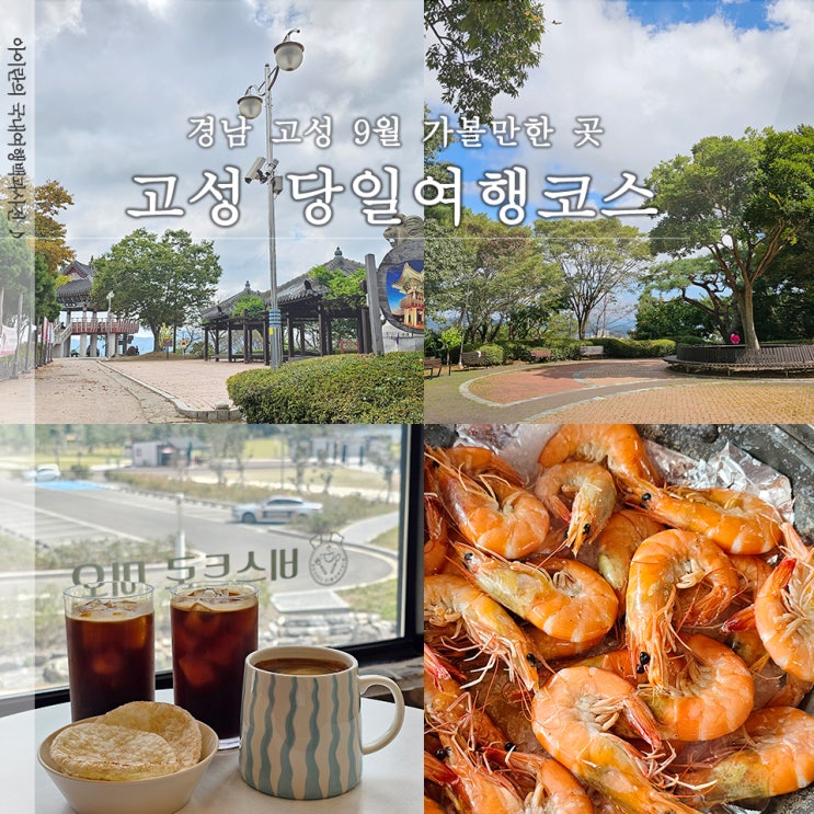  고성 남산공원 외 가볼만한 곳 청정수산왕새우 미오카페