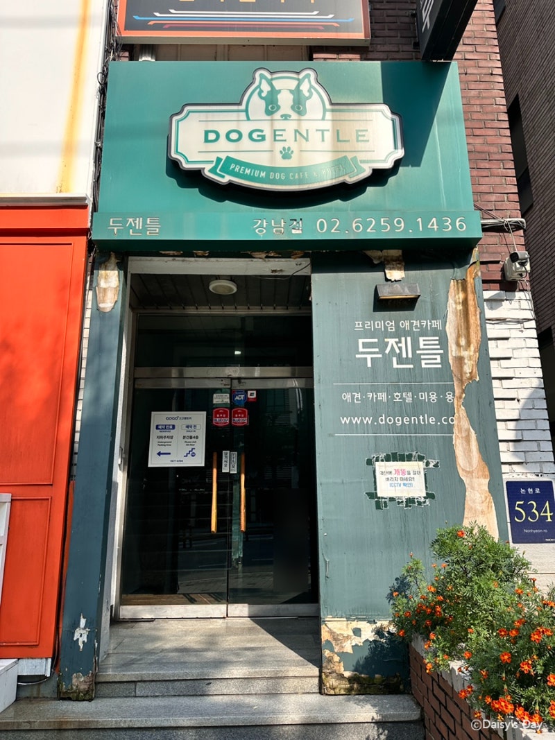 사진 5