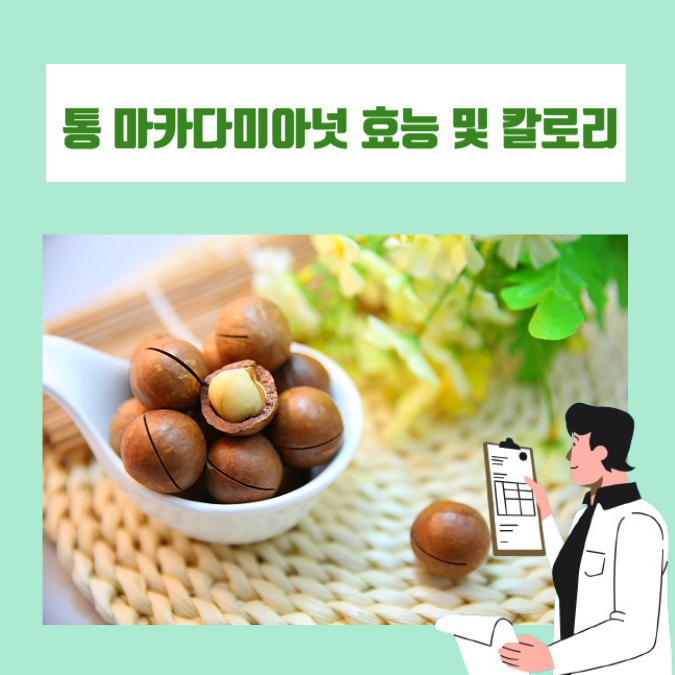 까먹는 마카다미아넛 효능과 칼로리에 대해 알아봅시다.