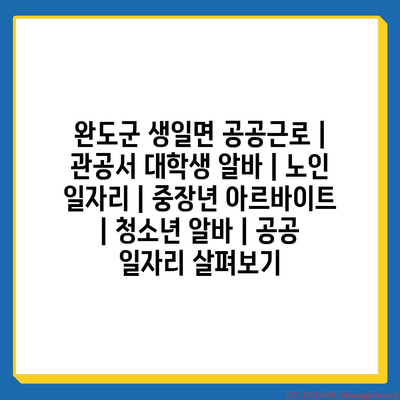 완도군, 공공근로와 대학생 알바의 매력