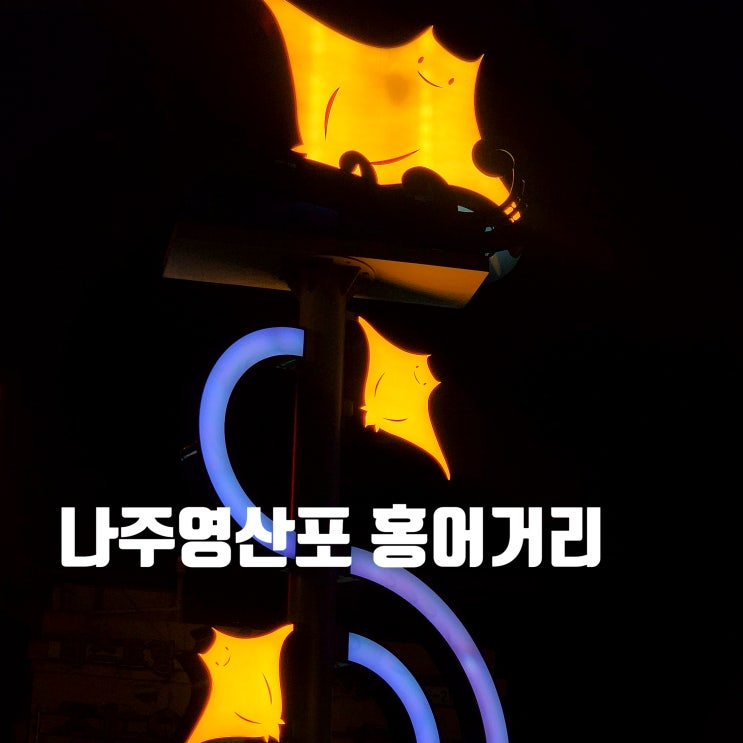  〔전남나주〕나주 영산포 홍어거리 야경-홍어 삼합을 먹고 산책하기 좋은 곳-나주 홍어거리
