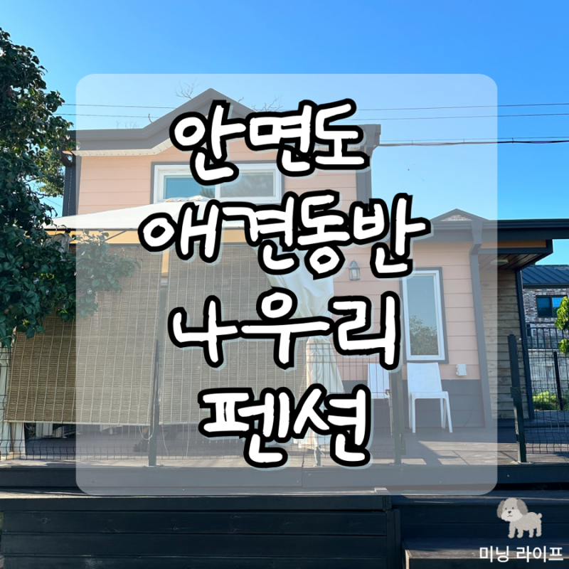 사진 5