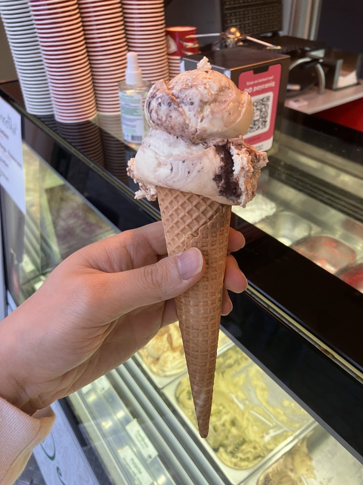 벨기에 루벤 젤라또 아이스크림 맛집 Decadenza Gelateria 벨기에 루벤 젤라또 아이스크림 맛집 Decadenza Gelateria
