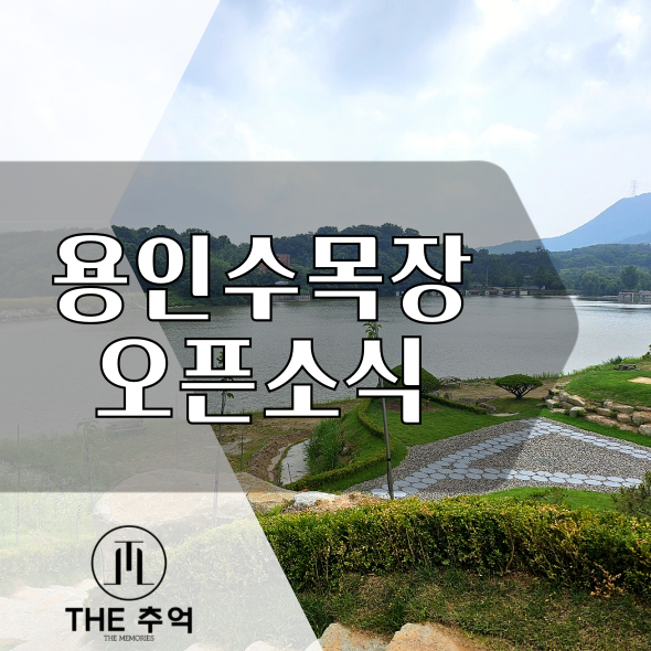  용인수목장: 금오동지수목장 오픈 소식을 알려드려요.