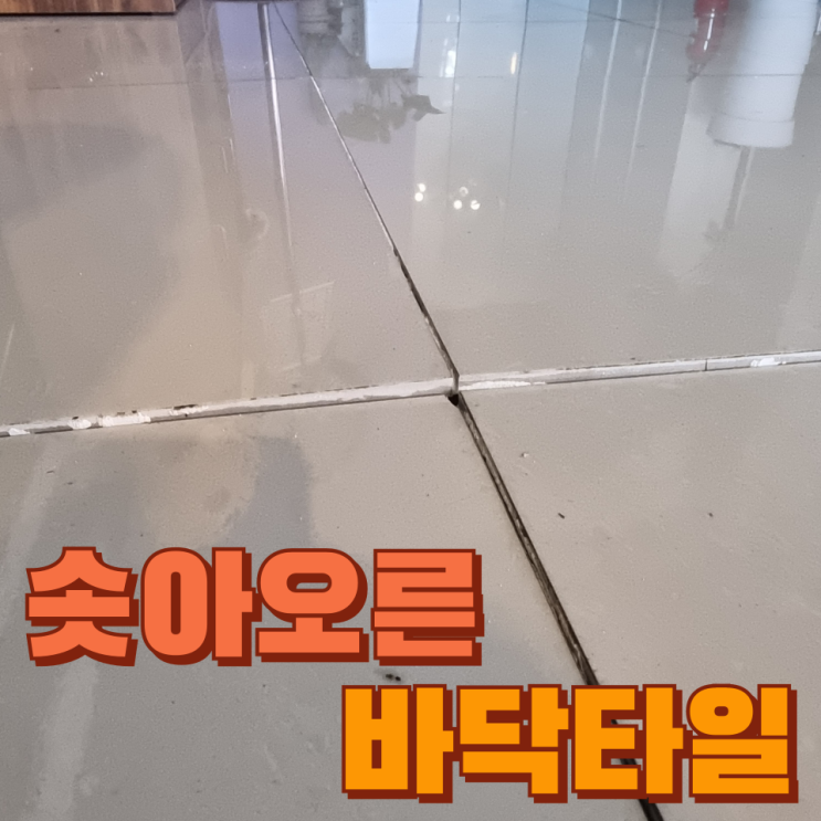  들뜨고 흔들리고 솟아오르고 튀어나온 바닥타일 부분교체 복원전문, 카페 커피숍 상가