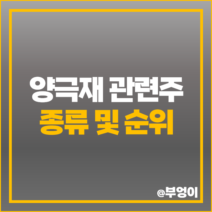 양극재 관련주 고려아연 에코프로 포스코케미칼 주가 금양 주식 양극재 관련주 고려아연 에코프로 포스코케미칼 주가 금양 주식