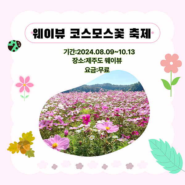  코스모스꽃 축제 10월 고양,제주 알아보기