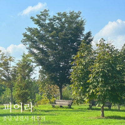 사진 4
