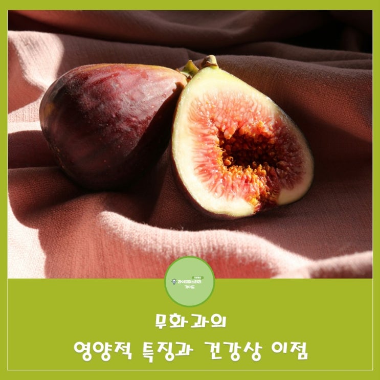  무화과:단백질 분해효소가 풍부한 과일|3항3협의 특별한 효과(항산화,항균,항염/소화촉진,변비탈출,심혈관질환예방)