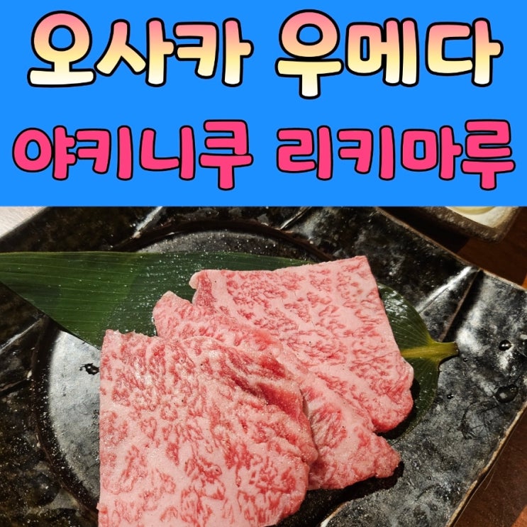 우메다 맛집 한국인이 좋아하는 와규뷔페 [야키니쿠 리키마루]