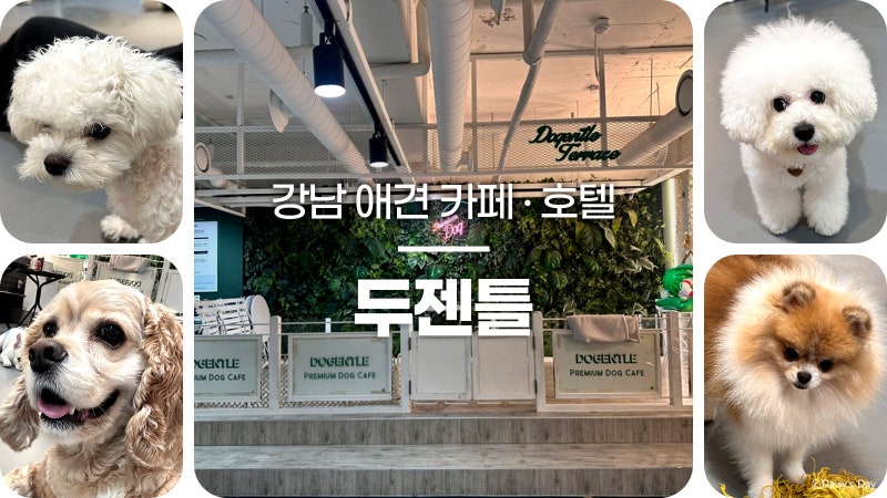 사진 4