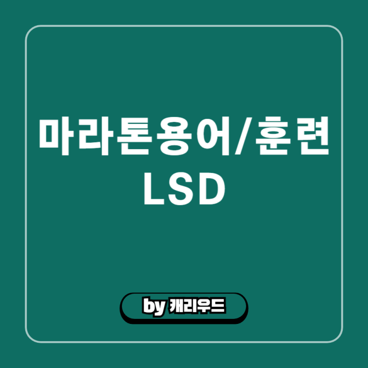  러닝 용어 LSD 훈련 트레이닝 뜻 시간 거리 심박수 마라톤 준비