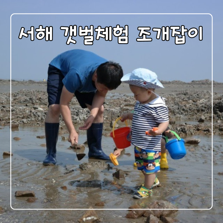  서해바다 갯벌체험 조개잡이하는 아이들 변천사