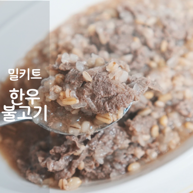  가치파머스 소고기 한우불고기 국물 소불고기 밀키트