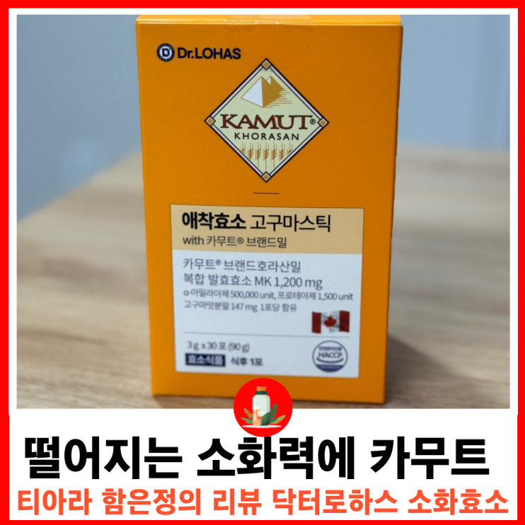  탄수화물, 단백질 섭취 많은 분들을 위한 카무트 효소 선택 가이드 및 효능